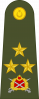 中将