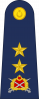 少将