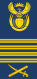 上将