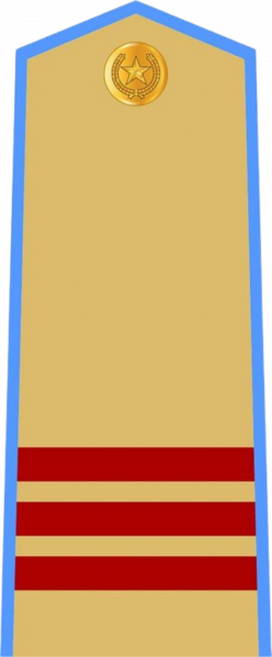 文件:Thượng sĩ, Phòng không – Không quân.png