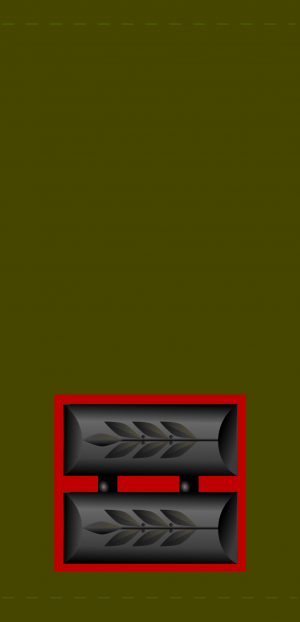 Segen, Israeli Ground Forces.png