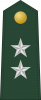 少将