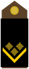 中士