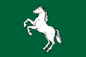 Flag of Tomsk.png