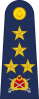 上将