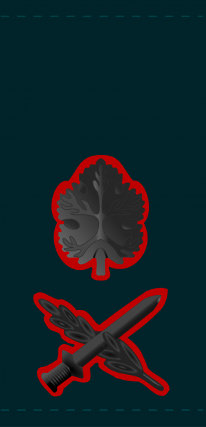 文件:Aluf, Israeli Ground Forces.png