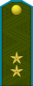 中将