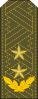 中将
