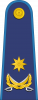 少将