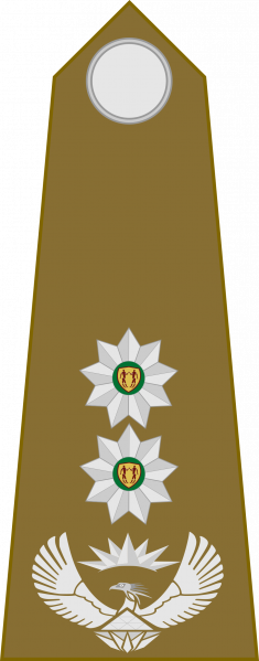 文件:Colonel, SA Leër.png