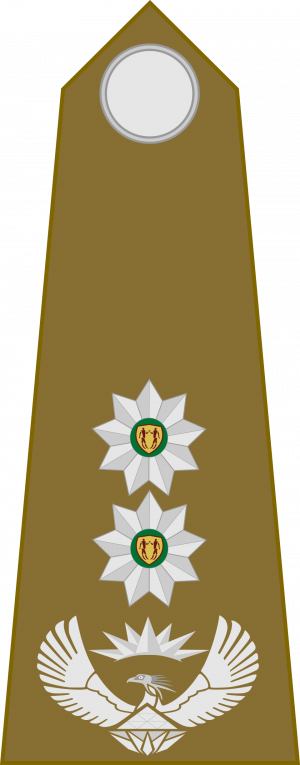 Colonel, SA Leër.png