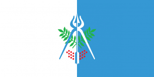 伊热夫斯克市旗