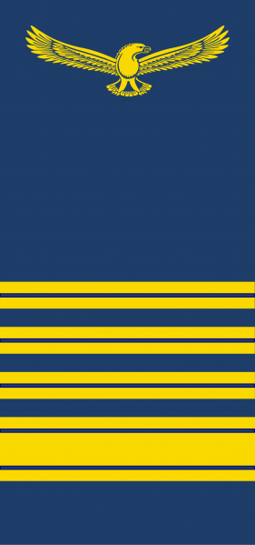 文件:Colonel, SA Vloot.png