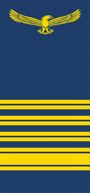 Colonel, SA Vloot.png