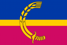 谢韦尔斯克市旗