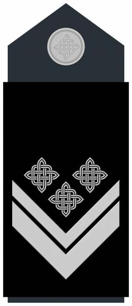 文件:Časnički namjesnik HRZ.png