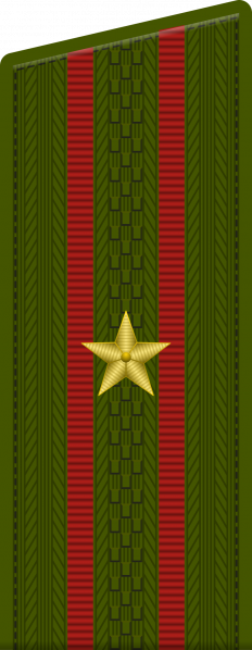 文件:Major, Russian Ground Force (2010).png