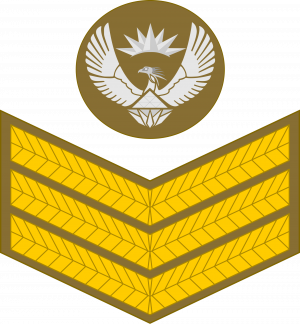 Staff sergeant, SA Leër.png