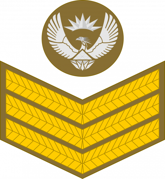 文件:Staff sergeant, SA Leër.png