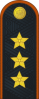 上将