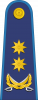 中将