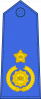 少将