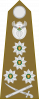 上将