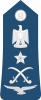 中将