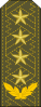 大将