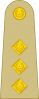 陆军上尉