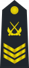 海军二级军士长