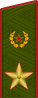 大将