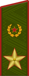 大将