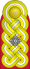 中将