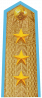 上将