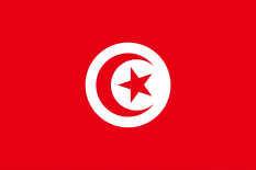 突尼斯共和国国旗