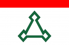 沃洛科拉姆斯克市旗