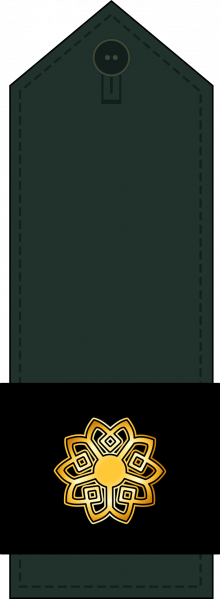 文件:Sargord IRGC.png