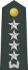 大将