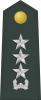 中将