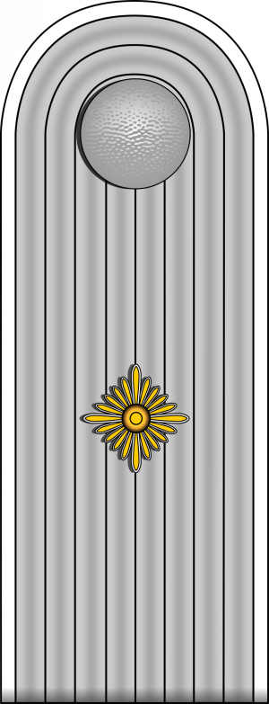 Oberleutnant, Heer Wehrmacht.png