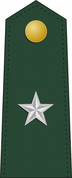 文件:Brigadier general, Hukbong Katihan ng Pilipinas.png