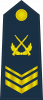 空军三级军士长