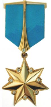 人民英雄金星奖章