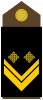 军士长
