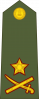 陆军少将