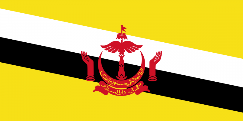 文件:Flag of Brunei.png