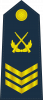 空军二级军士长