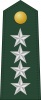 上将