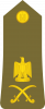 少将